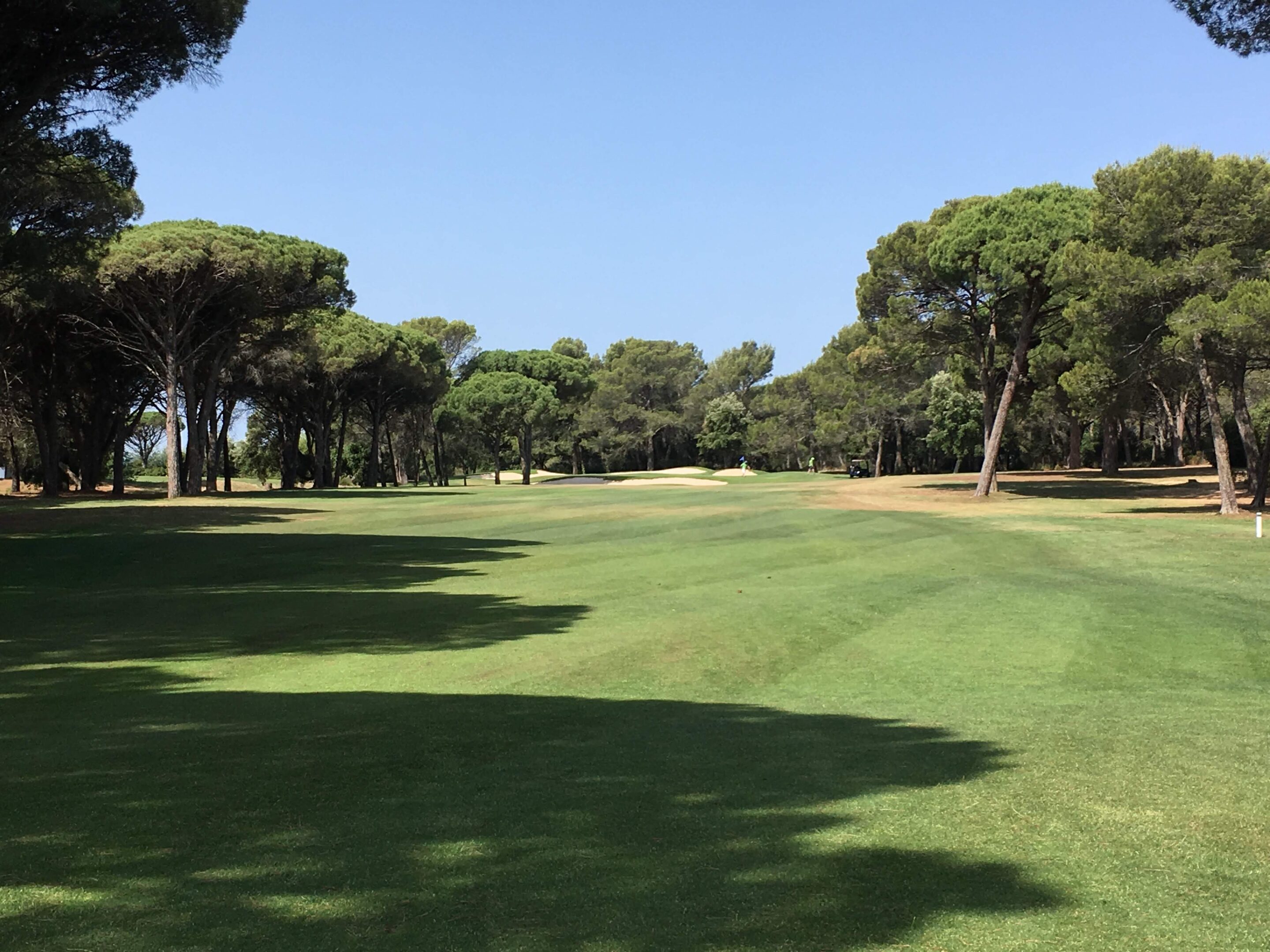 Golf au milieu d'un paysage d'automne